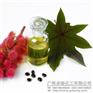 卓畅化工金牌供应商,蓖麻油,精炼级蓖麻油