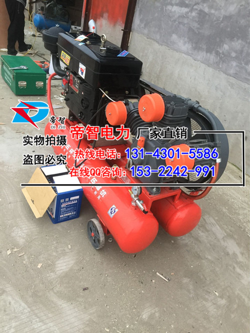 帝智厂家专业直销防汛打桩机/湖北厂家批发代理&nbsp;&nbsp;帝智厂家直销