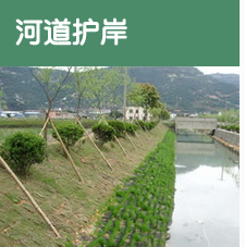 宏祥新材料高品质生态袋绿化护坡宏祥生态袋 护坡生态袋