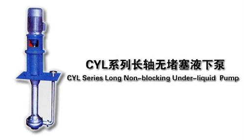 单壳体渣浆泵厂家,福州渣浆泵,江苏长凯机  CZJ渣浆泵  双壳体渣浆泵