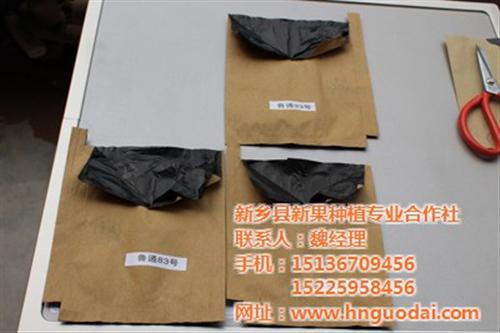 新果果袋(在线咨询),黄石果袋生产机械