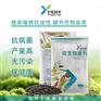 微生物菌剂 农业微生物菌剂
