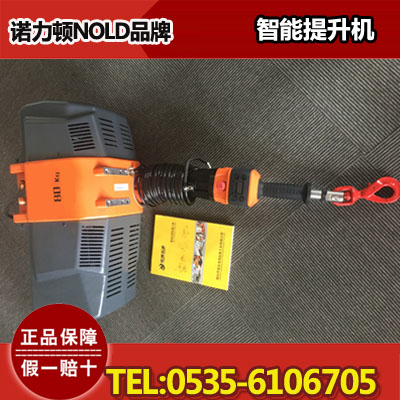 智能提升机300kg,悬浮特性,定位精准,诺立顿品牌