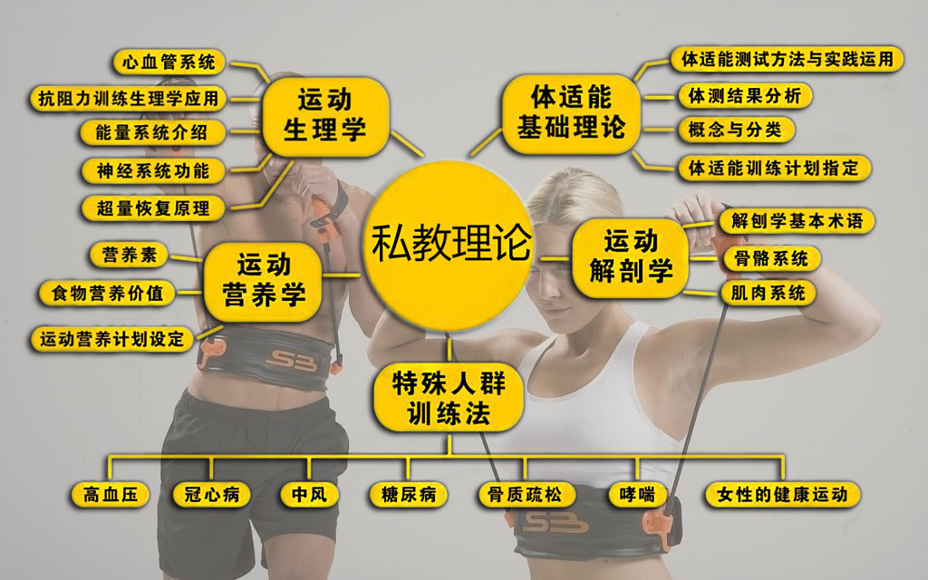 怎么学健身教练_【云康健身学院】怎么去  健身教练资格证  健身教练培训学校