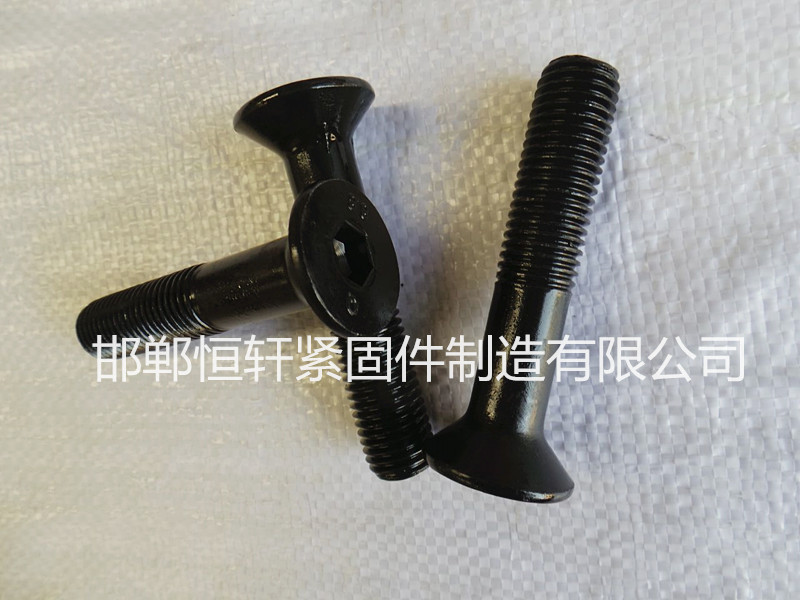 河北8.8级高强度沉头内六角螺栓专业生产&nbsp;&nbsp;8.8级沉头内六角螺&nbsp;&nbsp;沉头内六角螺丝