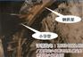 广东惠州市小导管成型机冲孔机厂家直接供货