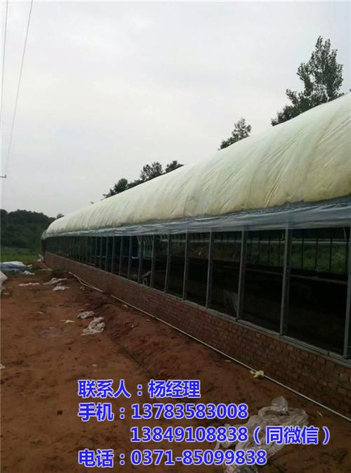 养殖大棚价格_安阳养殖大棚_【欣荣温室工&nbsp;&nbsp;养殖大棚造价&nbsp;&nbsp;养殖大棚养鸡