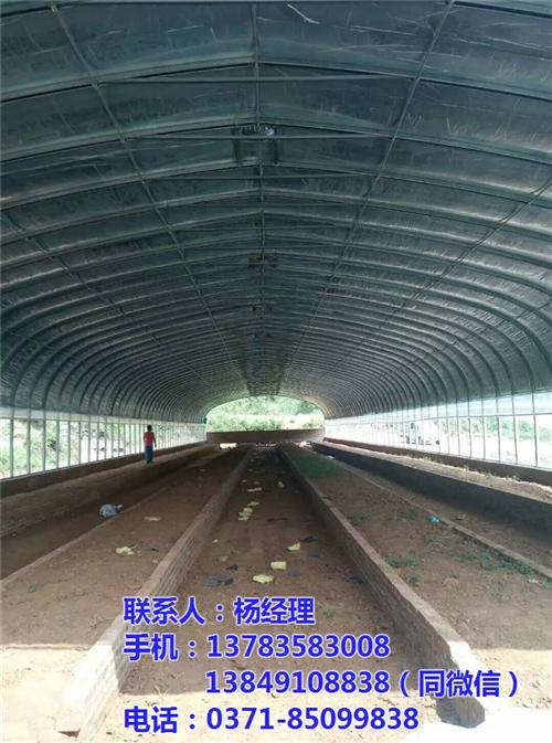 驻马店养殖大棚_【欣荣温室工程】_养殖大 养殖大棚骨架 养殖大棚厂家 养殖大棚安装