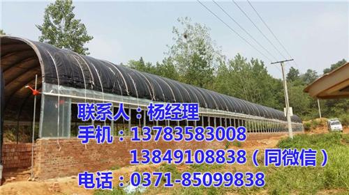 养殖大棚价格_信阳养殖大棚_【欣荣温室工 养殖大棚骨架 养殖大棚批发