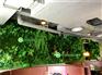 厦门超值的餐厅绿植墙哪有卖，绿植墙
