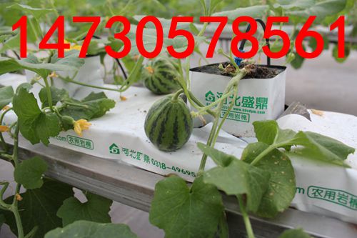 鼎盛源无土栽培优质农业种植岩棉&nbsp;&nbsp;农业岩棉