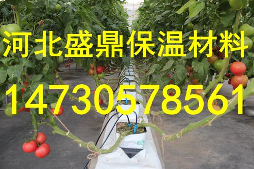 河北中盛优质农业种植类岩棉&nbsp;&nbsp;种植岩棉&nbsp;&nbsp;无土栽培&nbsp;&nbsp;农业岩棉