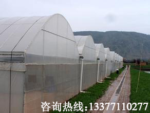 南宁温室大棚就选广西融通四海，蔬菜大棚工&nbsp;&nbsp;广西温室大棚&nbsp;&nbsp;南宁农业大棚
