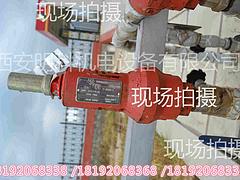 质量保证CNG储气井Taylor安全阀|&nbsp;&nbsp;美国原装进口Tayl