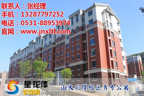 多彩漆_星龙漆_水包水多彩漆市场价  山东多彩漆批发