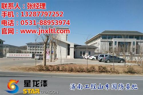 外墙真石漆价格、真石漆、星龙漆(查看)  真石漆团购  真石漆外墙用
