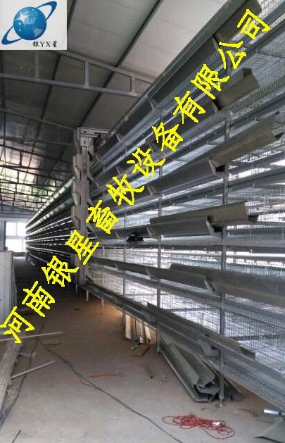 河南优质立式鸡笼销售厂家丨高档育雏鸡笼批发地址 蛋鸡笼维修地址 河南鸡笼设备规格 河南鸡笼厂家电话