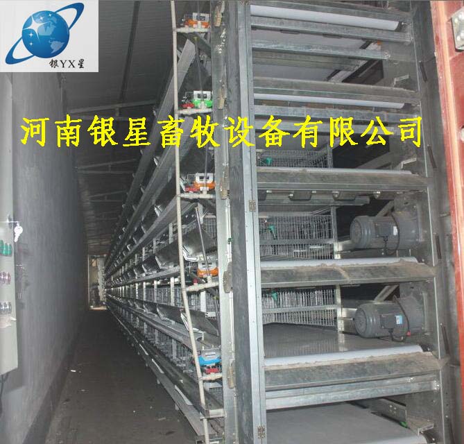 河南优质立式鸡笼产品售后丨高档育雏鸡笼供应设备 蛋鸡笼公司批发 河南鸡笼设备规格 蛋鸡笼售后地址