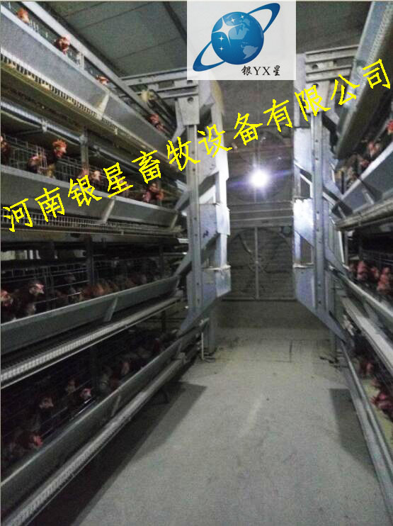河南优质立式鸡笼设备批发丨高档育雏鸡笼公司厂家 河南鸡笼公司地址 河南鸡笼设备规格 河南鸡笼厂家电话
