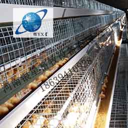 河南新型立式鸡笼公司维修丨家用育雏鸡笼厂家批发 蛋鸡笼公司批发 河南鸡笼批发价格 蛋鸡笼厂家地址