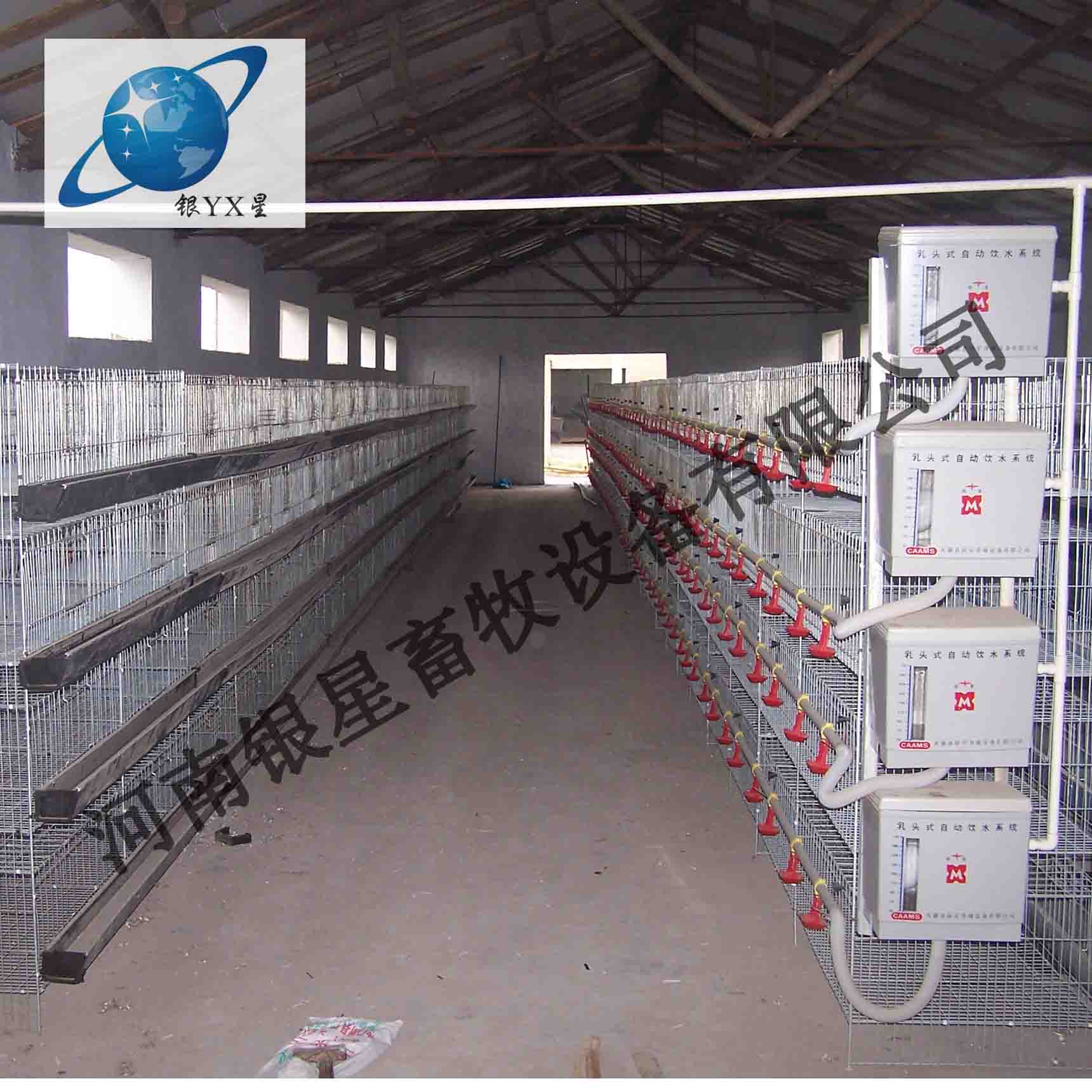 河南新型立式鸡笼厂家销售丨家用育雏鸡笼价格合理 蛋鸡笼公司批发 河南鸡笼批发价格 蛋鸡笼售后地址