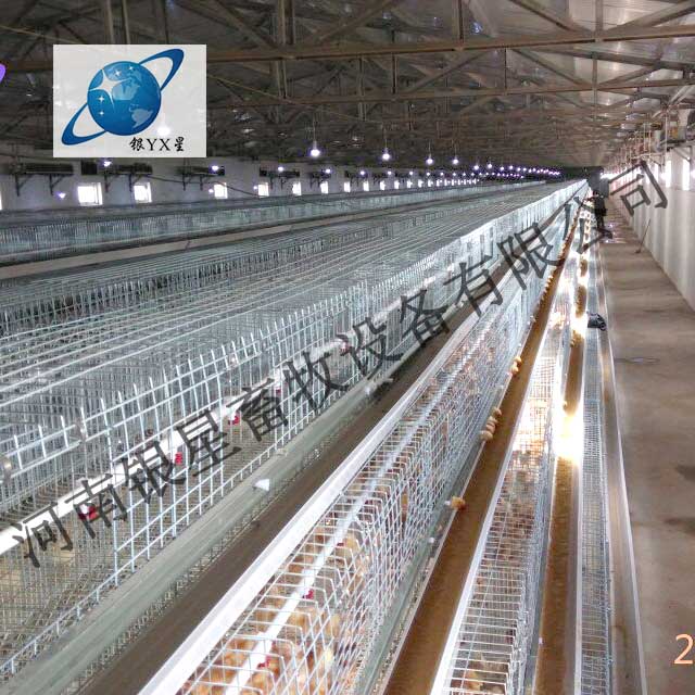 河南新型立式鸡笼定制规格丨家用育雏鸡笼设备维修 蛋鸡笼维修地址 蛋鸡笼设备规格 河南鸡笼厂家电话