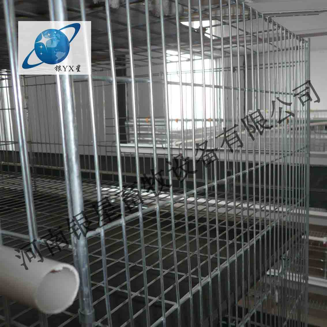 河南新型立式鸡笼专业生产丨家用育雏鸡笼公司地址 河南鸡笼公司地址 河南鸡笼设备规格 蛋鸡笼售后地址