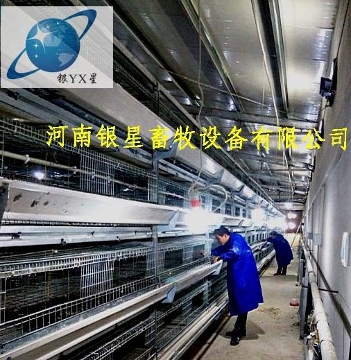 河南优质立式鸡笼维修公司丨高档育雏鸡笼设备款式 蛋鸡笼厂家地址 蛋鸡笼设备规格 蛋鸡笼售后地址