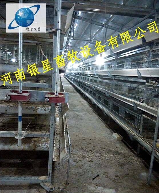 河南优质立式鸡笼定制规格丨高档育雏鸡笼设备维修 河南鸡笼维修公司 河南鸡笼设备规格 蛋鸡笼厂家地址