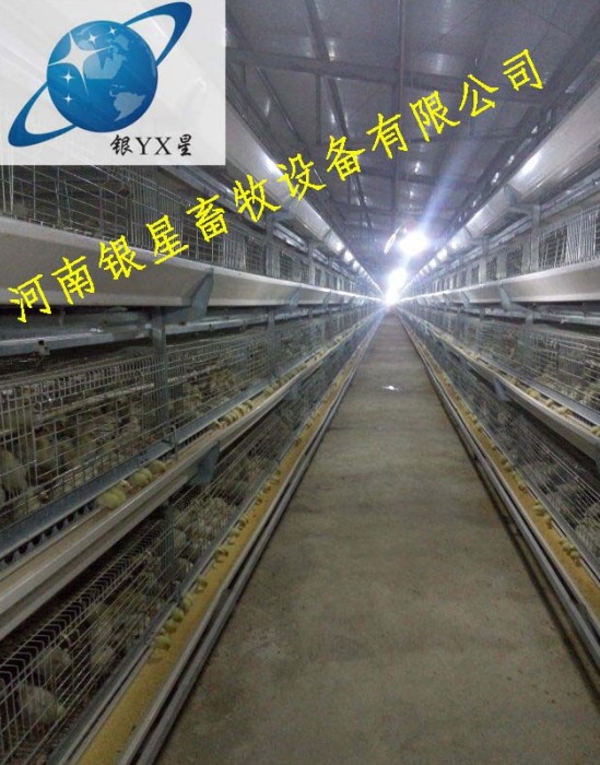 河南优质立式鸡笼公司批发丨高档育雏鸡笼维修电话 蛋鸡笼公司批发 蛋鸡笼设备规格 蛋鸡笼厂家地址