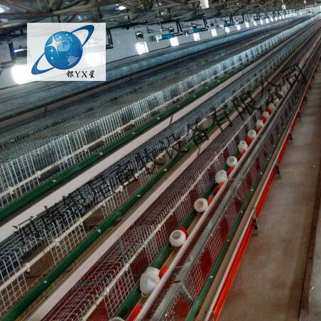 河南优质立式鸡笼供货市场丨高档育雏鸡笼公司地址 河南鸡笼维修公司 河南鸡笼设备规格 河南鸡笼厂家电话