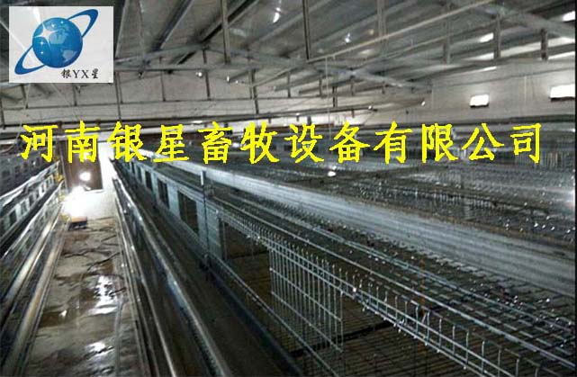 河南优质立式鸡笼批发电话丨高档育雏鸡笼厂家价格  蛋鸡笼公司批发  蛋鸡笼设备规格  河南鸡笼厂家电话
