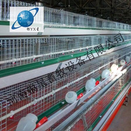 河南优质立式鸡笼定做价格1高档育雏鸡笼批发规格 河南鸡笼公司地址 蛋鸡笼设备规格 蛋鸡笼厂家地址