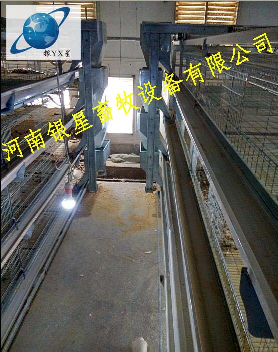 河南优质立式鸡笼供应地址丨高档育雏鸡笼设备电话 蛋鸡笼维修地址 蛋鸡笼设备规格 蛋鸡笼厂家地址