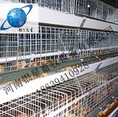 河南优质立式鸡笼市场行情丨高档育雏鸡笼售后公司 蛋鸡笼维修地址 河南鸡笼批发价格 蛋鸡笼售后地址