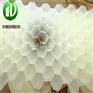 聚丙烯蜂窝斜管填料自来水厂专用雁山