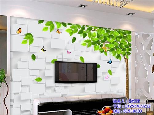 装饰背景墙加盟_芜湖背景墙加盟_诺欧电子  3d背景墙加盟  背景墙加盟哪家好