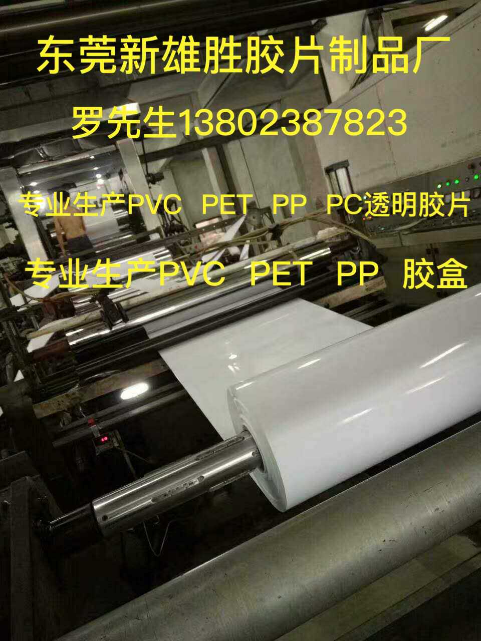 新雄胜包装制品供应优质PP胶片_广州PP&nbsp;&nbsp;PVC胶片&nbsp;&nbsp;PP胶盒