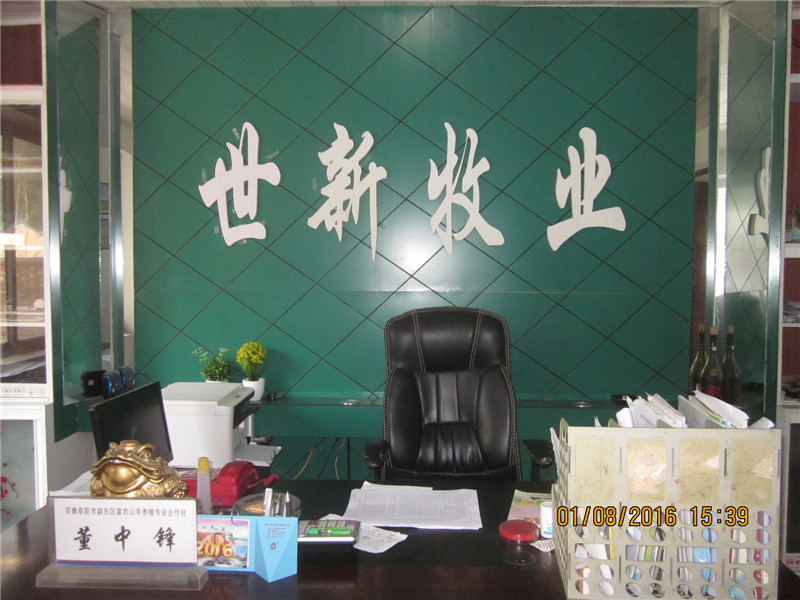 育肥羔羊哪里有供应|无锡育肥羔羊养殖场  育肥羔羊价格  安徽育肥羔羊价格