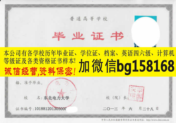 东北电力大学档案原版报到表样本历任校长  报到表档案样本