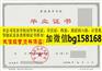 阳江职业技术学院2009年档案样本