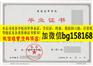 2013年广州航海学院档案报到表样本