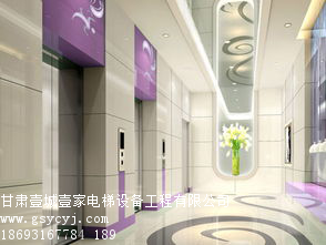 甘肃乘客电梯 甘肃专业的乘客电梯哪里有售&nbsp;&nbsp;乘客电梯安装&nbsp;&nbsp;乘客电梯工程