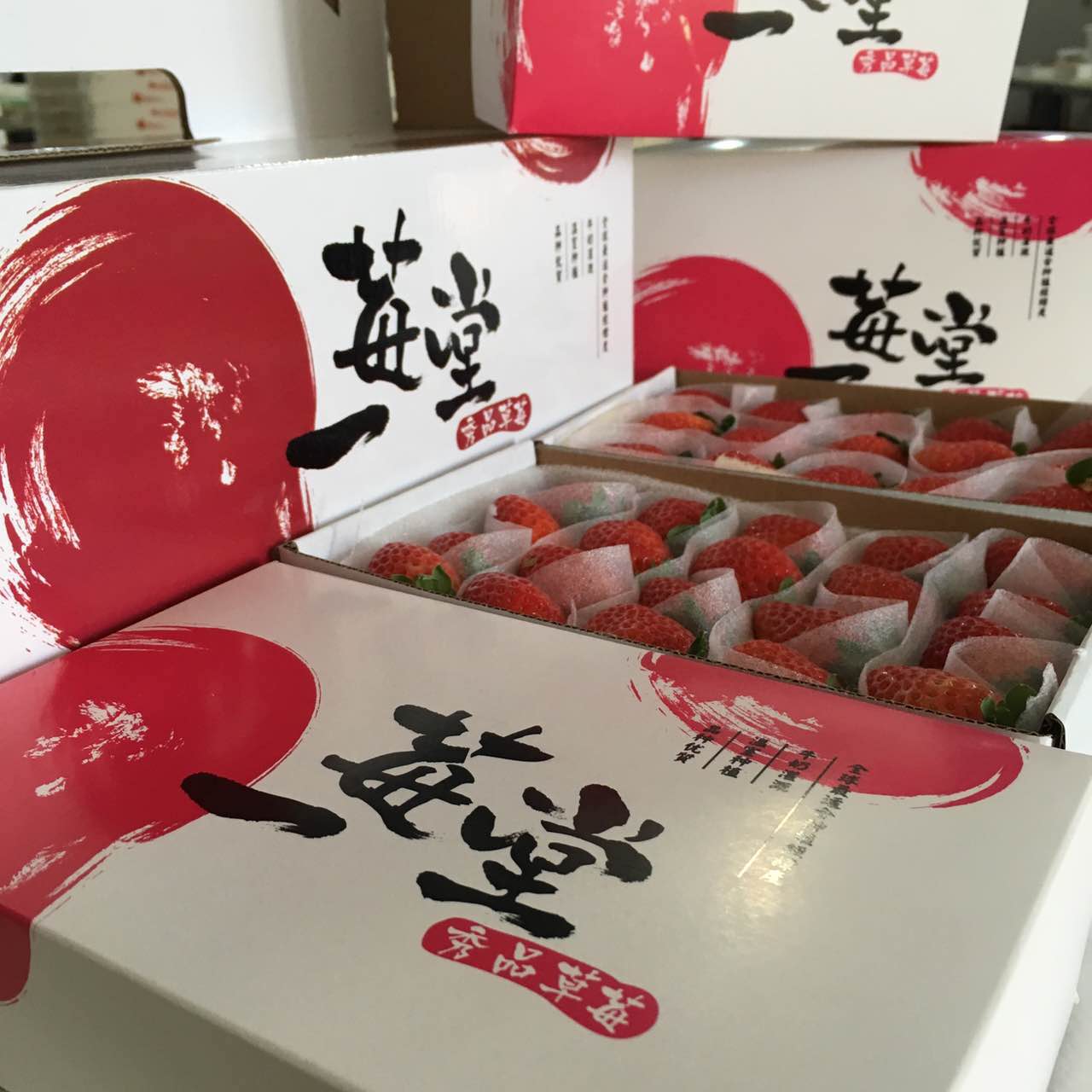 广州冰牛奶草莓|口碑好的丹东红颜草莓供应&nbsp;&nbsp;丹东草莓&nbsp;&nbsp;一件代发