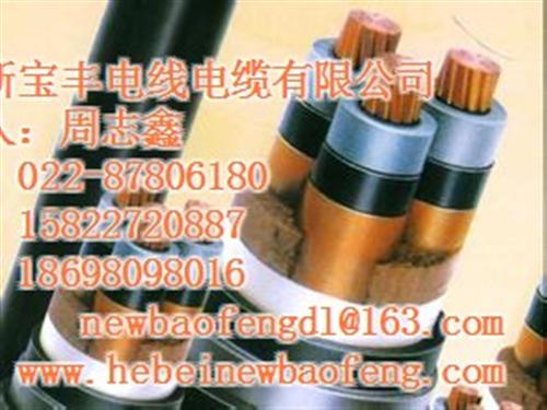 白城超高压电缆_河北新宝丰为您推荐_超高&nbsp;&nbsp;超高压电缆公司&nbsp;&nbsp;超高压电缆加工&nbsp;&nbsp;超高压电缆国标