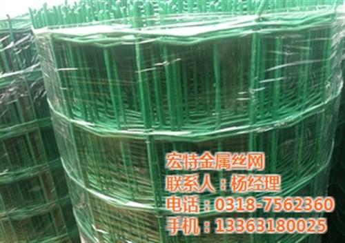 铁丝围网厂家直销|铁丝围网|荷兰网厂家(&nbsp;&nbsp;浸塑铁丝围网&nbsp;&nbsp;绿色铁丝围网