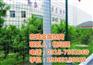 荷兰网护栏_荷兰网_荷兰网厂家(多图)