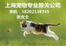 上海入境宠物专业代理报关公司