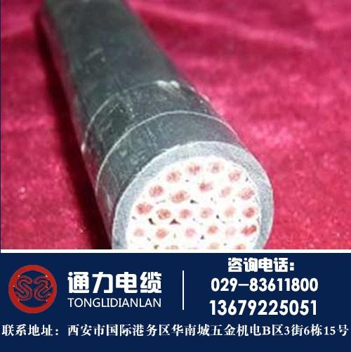 阻燃控制电缆,华池县控制电缆,陕西电缆厂 矿用控制电缆 控制电缆kvvp
