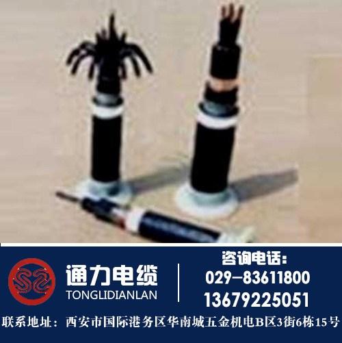 矿用控制电缆_镇原县控制电缆_陕西电缆厂  控制电缆型号  阻燃控制电缆  控制电缆价格